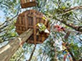 Tree Tops Adventure Park