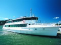 Cruise beautiful Brisbane Waters with Starship cruises
