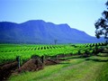 Hunter Valley wine region