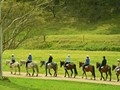 Glenworth Valley for horse riding, kayaking, quad bikes, abseiling and laser skirmishes
