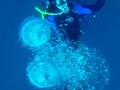 Ex-HMAS Adelaide dive site