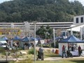 Local Markets